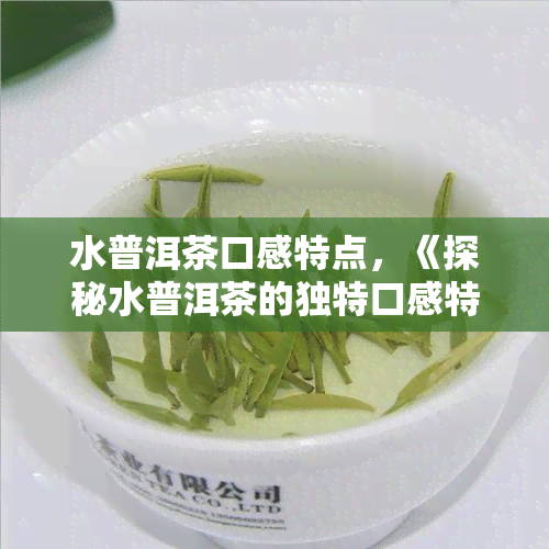 水普洱茶口感特点，《探秘水普洱茶的独特口感特点》