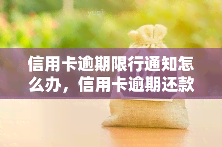 信用卡逾期限行通知怎么办，信用卡逾期还款警示：如何应对和解决？