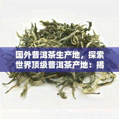 国外普洱茶生产地，探索世界顶级普洱茶产地：揭秘国外普洱茶的制作工艺与独特风味