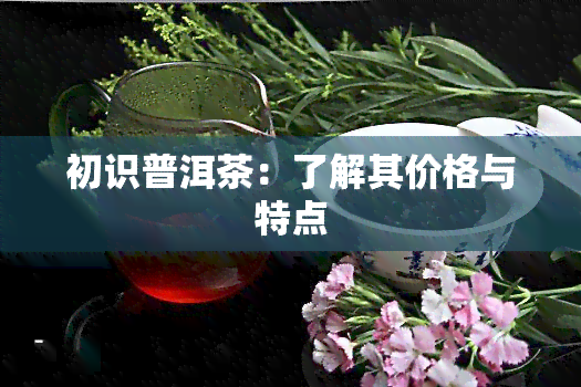 初识普洱茶：了解其价格与特点