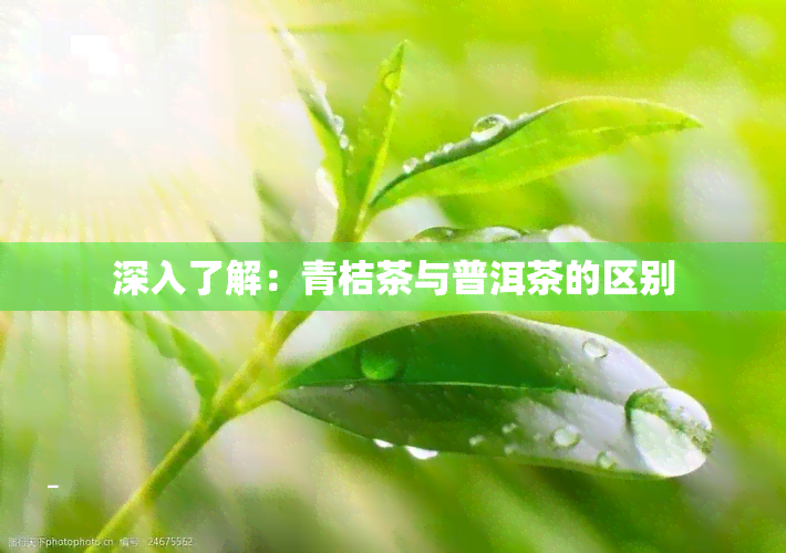 深入了解：青桔茶与普洱茶的区别