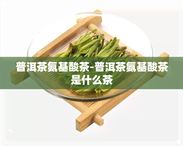 普洱茶氨基酸茶-普洱茶氨基酸茶是什么茶