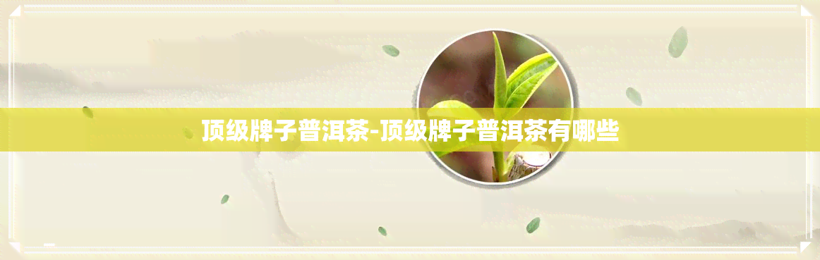 顶级牌子普洱茶-顶级牌子普洱茶有哪些