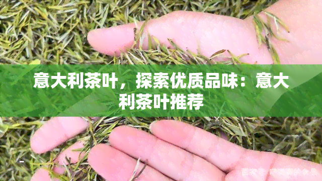 意大利茶叶，探索优质品味：意大利茶叶推荐