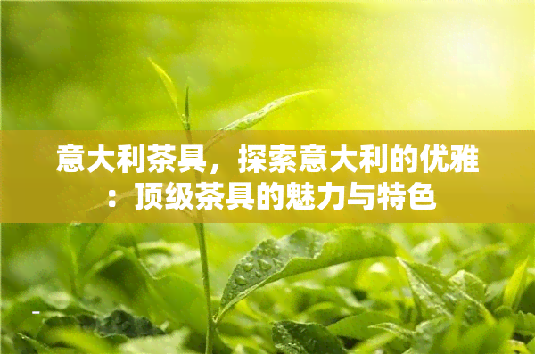 意大利茶具，探索意大利的优雅：顶级茶具的魅力与特色