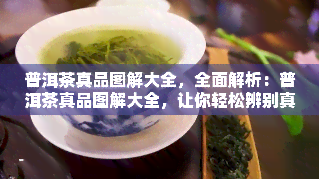 普洱茶真品图解大全，全面解析：普洱茶真品图解大全，让你轻松辨别真假！