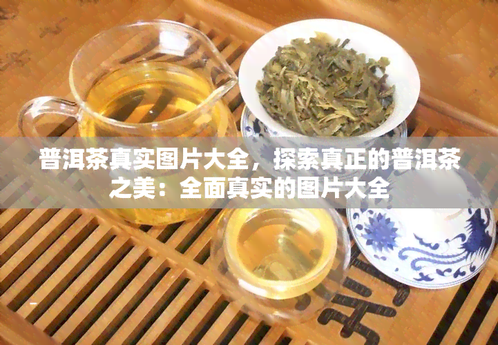 普洱茶真实图片大全，探索真正的普洱茶之美：全面真实的图片大全