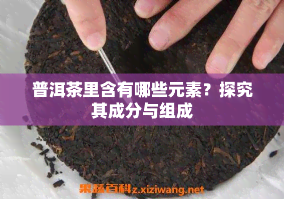 普洱茶里含有哪些元素？探究其成分与组成