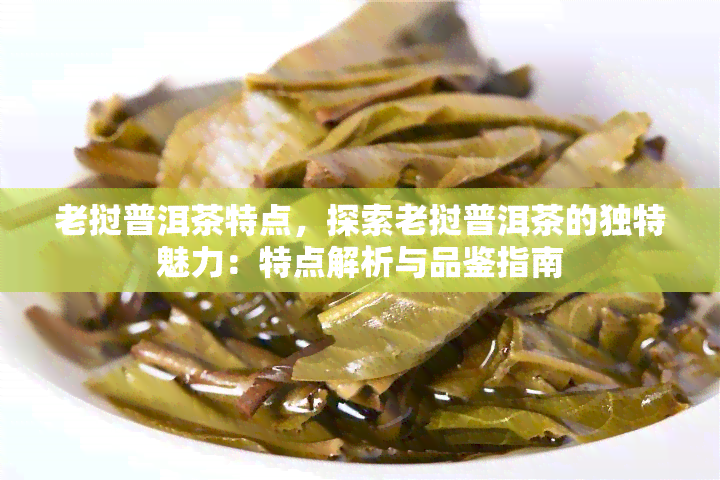 老挝普洱茶特点，探索老挝普洱茶的独特魅力：特点解析与品鉴指南