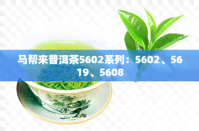 马帮来普洱茶5602系列：5602、5619、5608