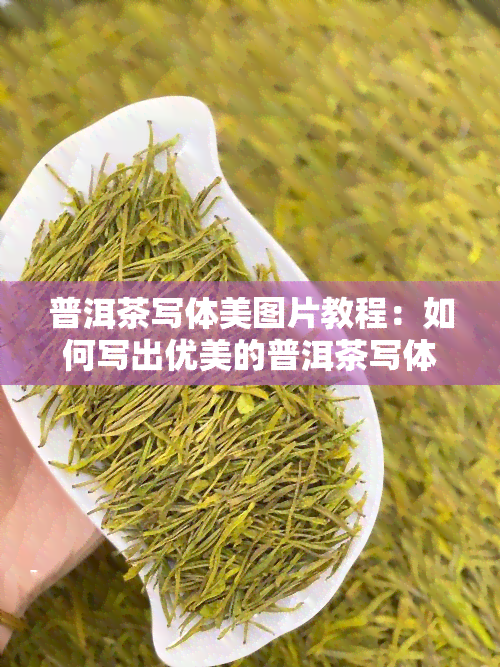 普洱茶写体美图片教程：如何写出优美的普洱茶写体图片？