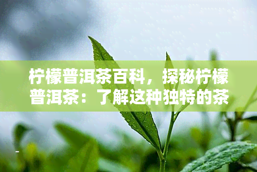 柠檬普洱茶百科，探秘柠檬普洱茶：了解这种独特的茶饮