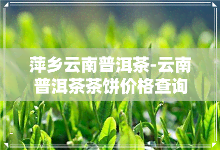 萍乡云南普洱茶-云南普洱茶茶饼价格查询