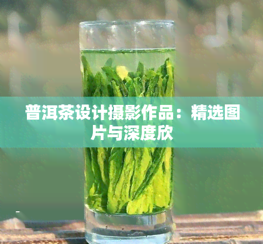 普洱茶设计摄影作品：精选图片与深度欣