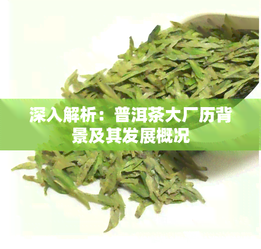 深入解析：普洱茶大厂历背景及其发展概况