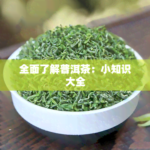 全面了解普洱茶：小知识大全