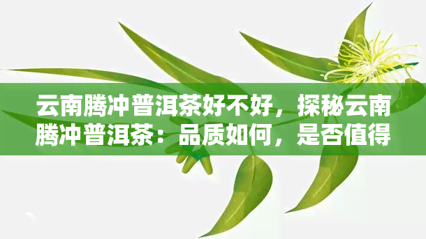 云南腾冲普洱茶好不好，探秘云南腾冲普洱茶：品质如何，是否值得一试？