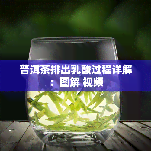 普洱茶排出乳酸过程详解：图解 视频