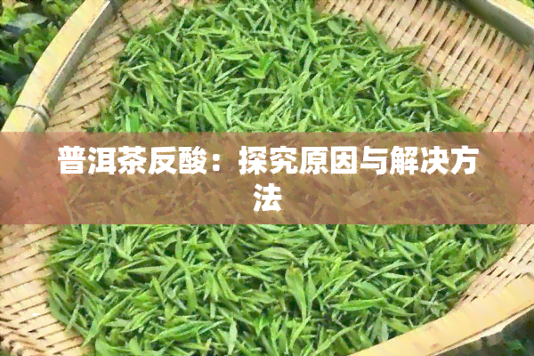 普洱茶反酸：探究原因与解决方法