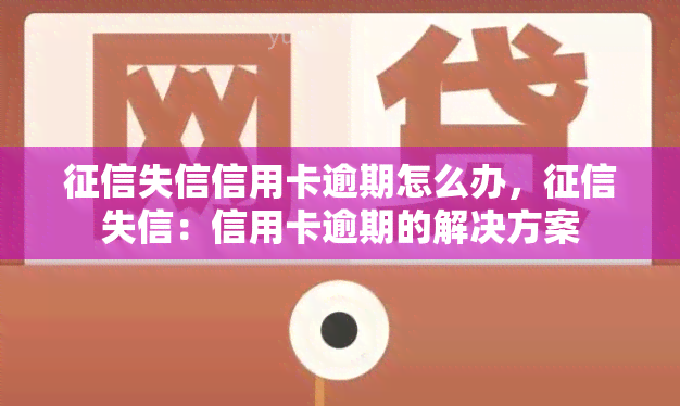 失信信用卡逾期怎么办，失信：信用卡逾期的解决方案