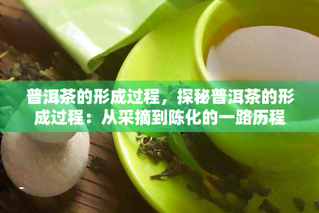 普洱茶的形成过程，探秘普洱茶的形成过程：从采摘到陈化的一路历程