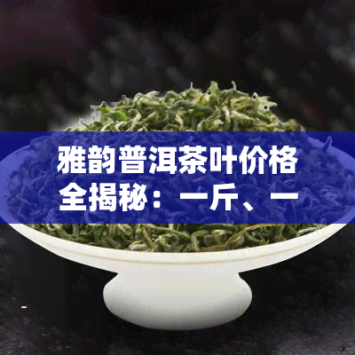 雅韵普洱茶叶价格全揭秘：一斤、一盒报价详细解析