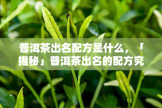 普洱茶出名配方是什么，「揭秘」普洱茶出名的配方究竟是什么？