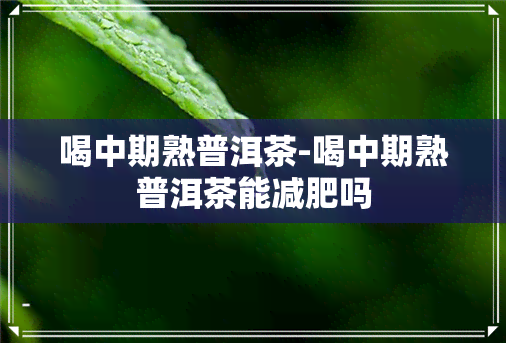 喝中期熟普洱茶-喝中期熟普洱茶能减肥吗