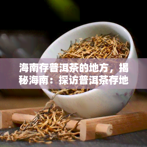 海南存普洱茶的地方，揭秘海南：探访普洱茶存地