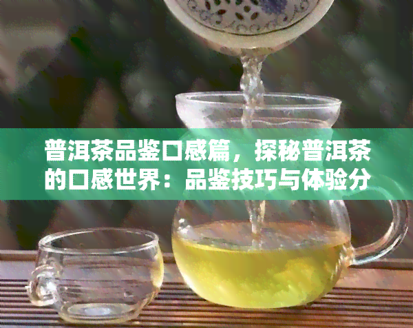 普洱茶品鉴口感篇，探秘普洱茶的口感世界：品鉴技巧与体验分享