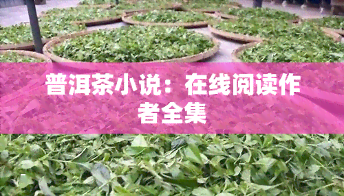 普洱茶小说：在线阅读作者全集