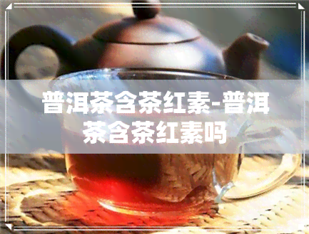 普洱茶含茶红素-普洱茶含茶红素吗