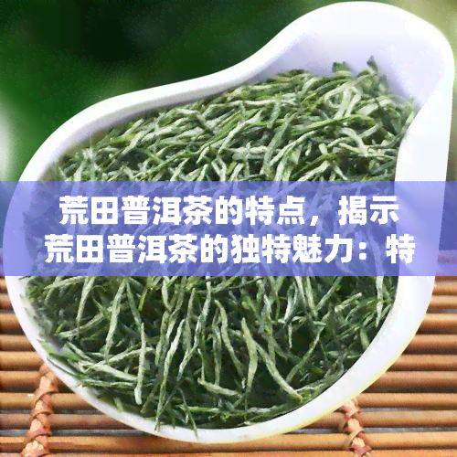 荒田普洱茶的特点，揭示荒田普洱茶的独特魅力：特点解析