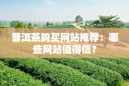 普洱茶购买网站推荐：哪些网站值得信？