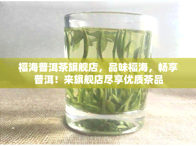 福海普洱茶旗舰店，品味福海，畅享普洱！来旗舰店尽享优质茶品