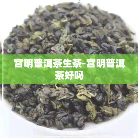 宫明普洱茶生茶-宫明普洱茶好吗