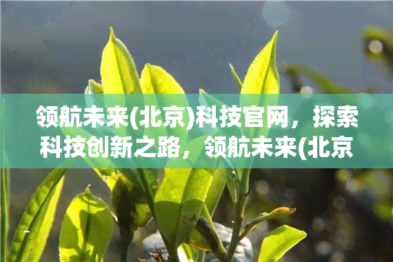 领航未来(北京)科技官网，探索科技创新之路，领航未来(北京)科技官网欢迎您访问！