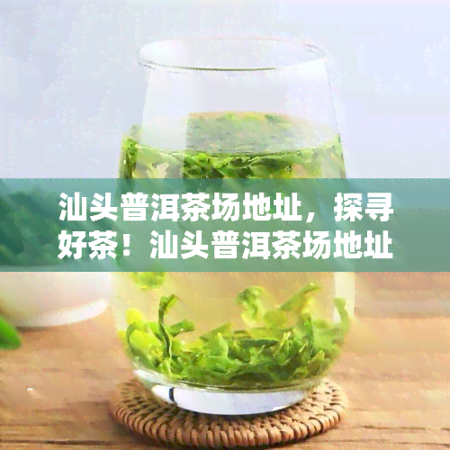 汕头普洱茶场地址，探寻好茶！汕头普洱茶场地址全攻略