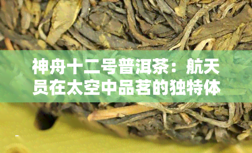 神舟十二号普洱茶：航天员在太空中品茗的独特体验