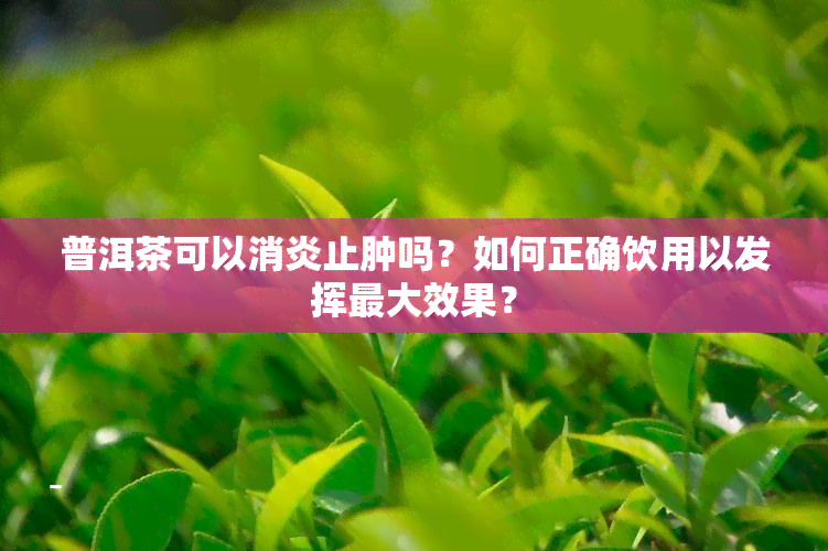 普洱茶可以消炎止肿吗？如何正确饮用以发挥更大效果？