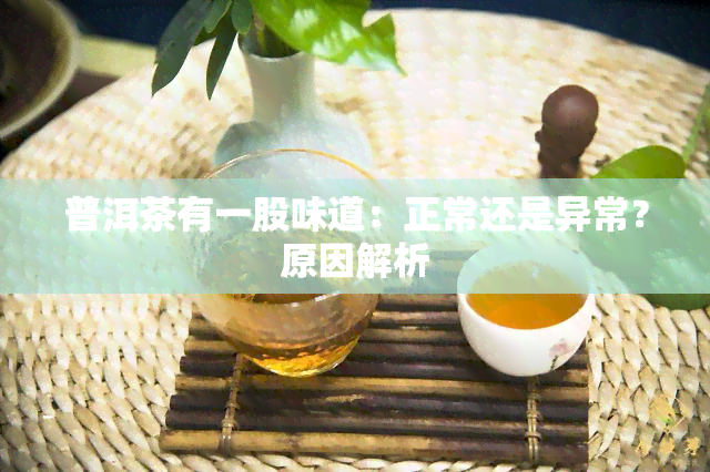 普洱茶有一股味道：正常还是异常？原因解析