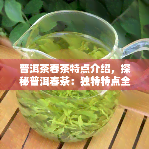 普洱茶春茶特点介绍，探秘普洱春茶：独特特点全面解析