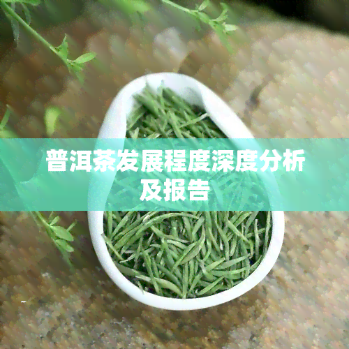 普洱茶发展程度深度分析及报告