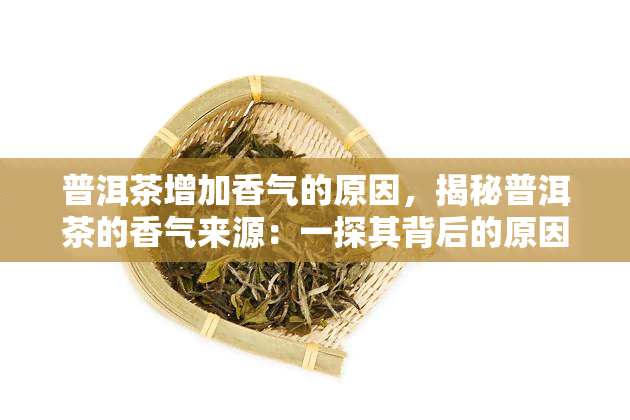 普洱茶增加香气的原因，揭秘普洱茶的香气来源：一探其背后的原因