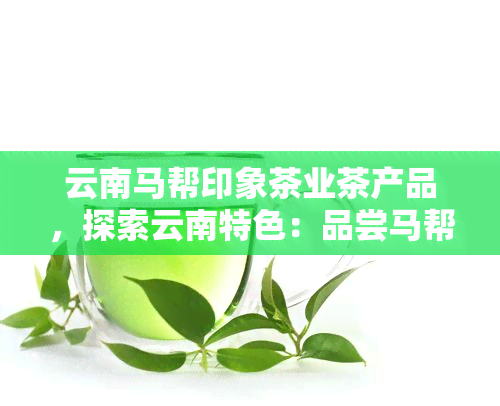 云南马帮印象茶业茶产品，探索云南特色：品尝马帮印象茶业的茶产品