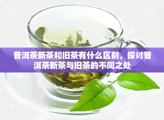 普洱茶新茶和旧茶有什么区别，探讨普洱茶新茶与旧茶的不同之处