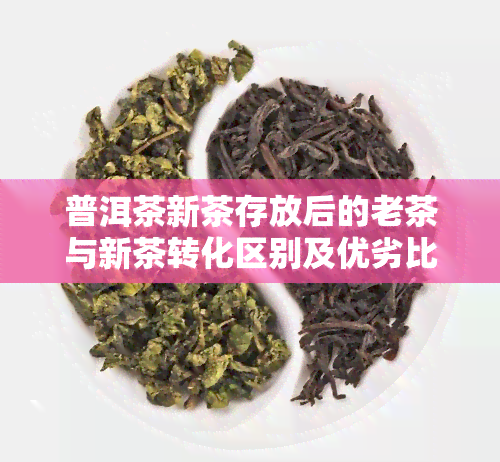 普洱茶新茶存放后的老茶与新茶转化区别及优劣比较