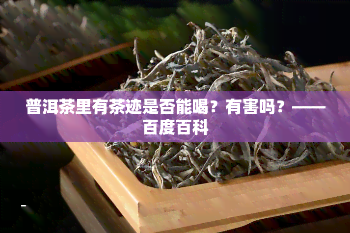 普洱茶里有茶迹是否能喝？有害吗？——百度百科