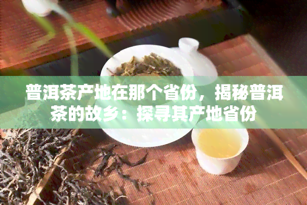 普洱茶产地在那个省份，揭秘普洱茶的故乡：探寻其产地省份