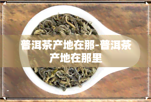 普洱茶产地在那-普洱茶产地在那里